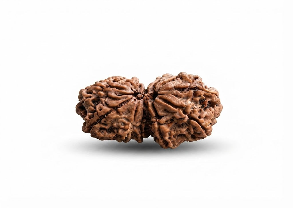 Natural Gauri Shankar Rudraksha Nepali Spiritual Bead