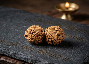 Natural Gauri Shankar Rudraksha Nepali Spiritual Bead